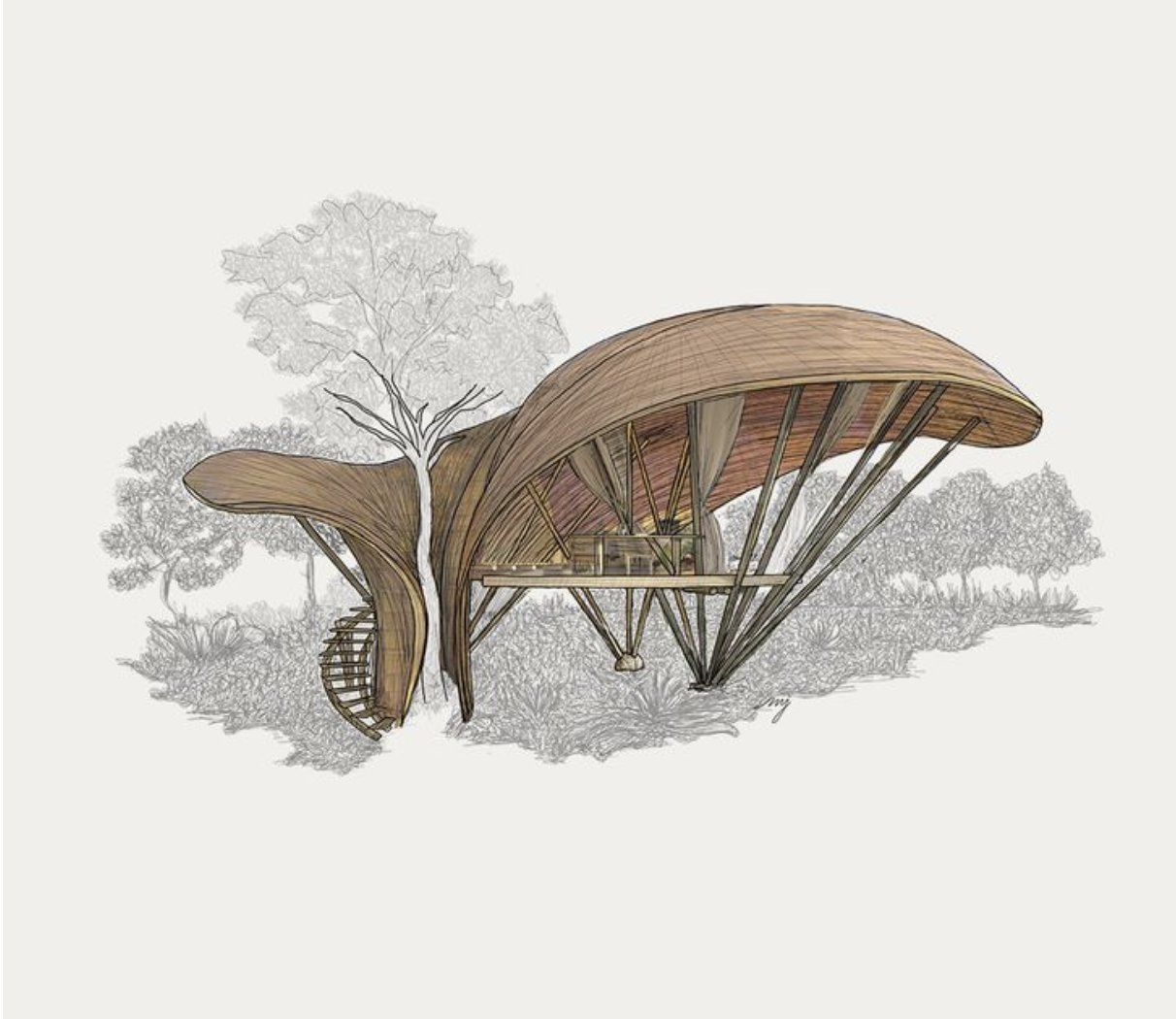 THE NEST · bamboo yoga shala wrapped around a living tree