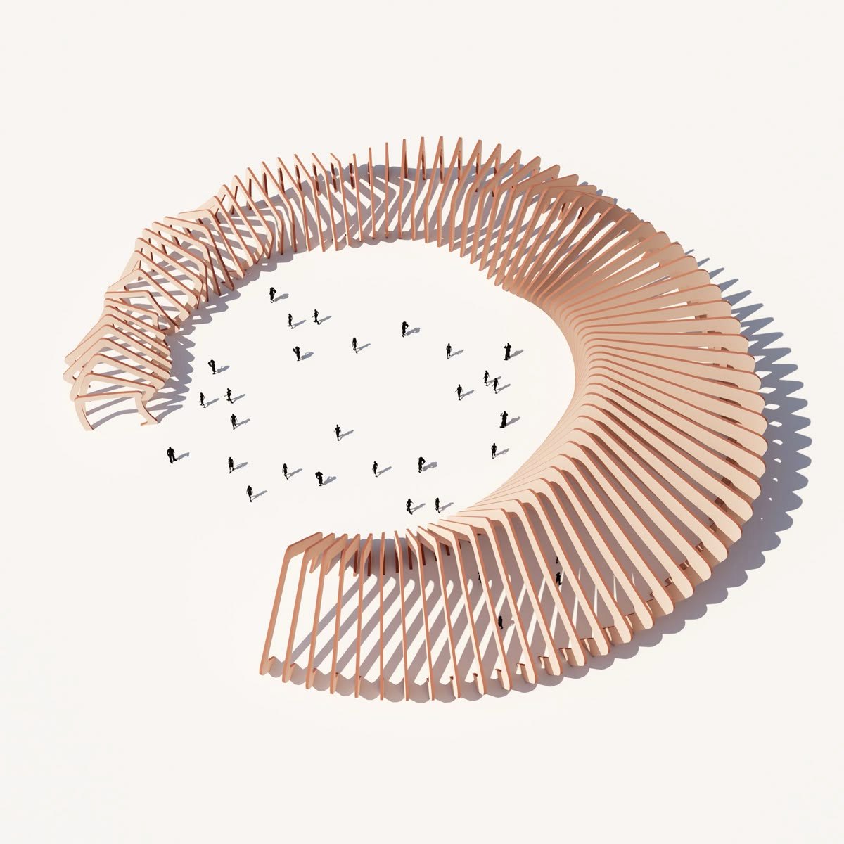 THE ROOF · sketch of the circular timber structure